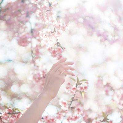 bet体育365投注官网